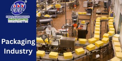 Packaging Industry Automation Panel Provide by FRIQS Automation Private Limited